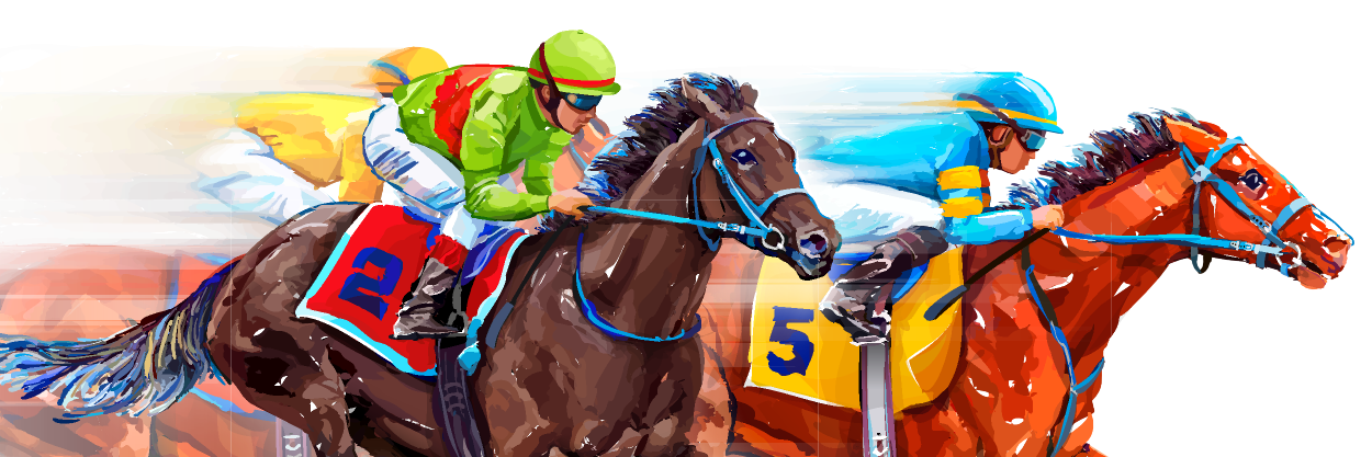 HORSE RACING FAVOURITE STATS