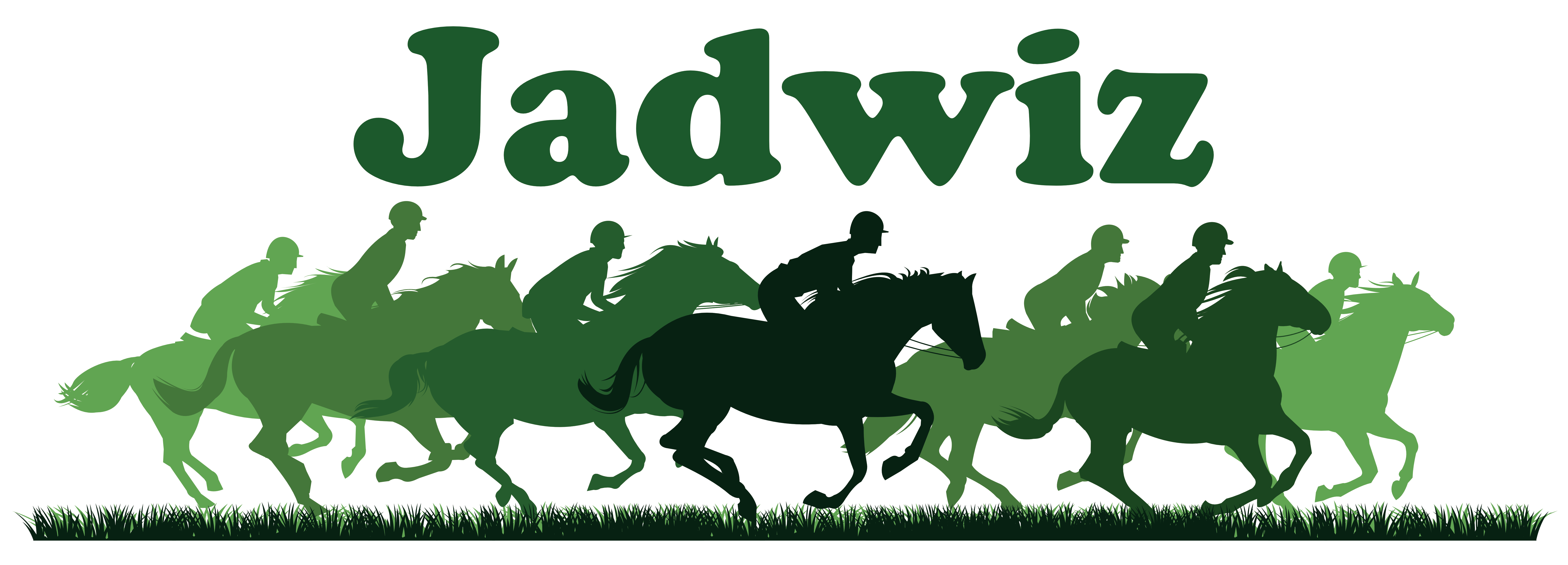 HORSE RACING FAVOURITE STATS